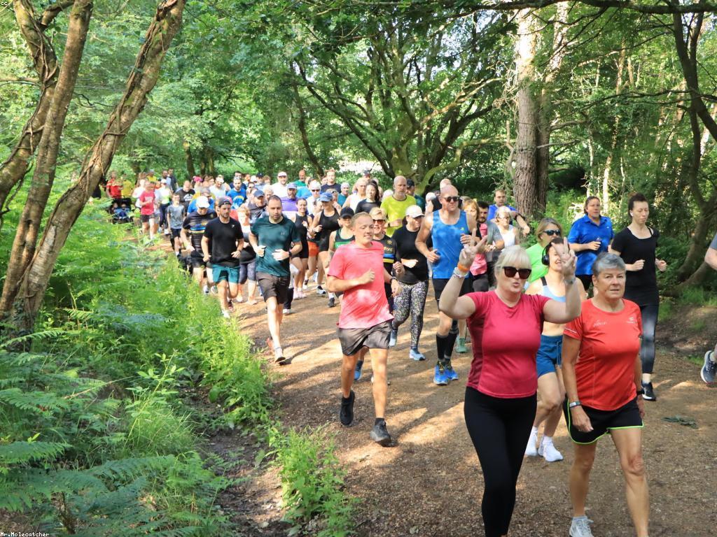 គន្លឹះសម្រាប់អ្នកថ្មី: ការព្យាបាលសុខភាពចិត្ត