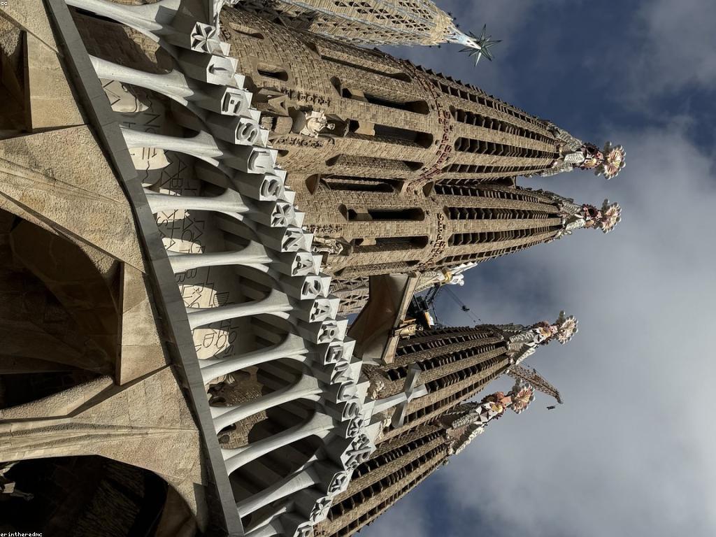 គន្លឹះសម្រាប់អ្នកថ្មី: ការព្យាបាលសុខភាពចិត្ត