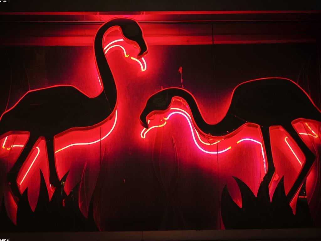 បច្ចេកវិទ្យាកាស៊ីណូ: វិធីសាស្ត្រថ្មីៗដើម្បីបង្កើនបទពិសោធន៍កាស៊ីណូ